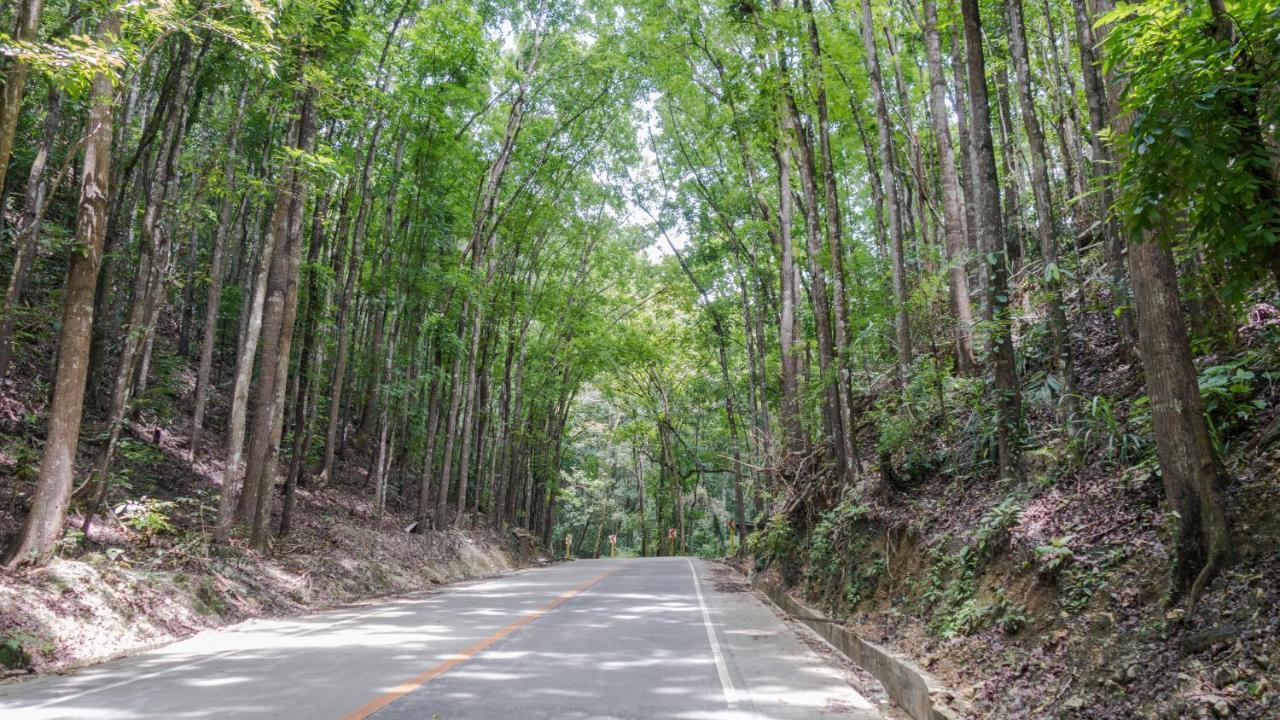 Alaia Studios Panglao Luaran gambar